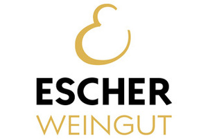 Logo escher